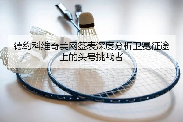 de-yue-ke-wei-qi-mei-wang-qian-biao-shen-du-fen-xi-wei-mian-zheng-tu-shang-de-tou-hao-tiao-zhan-zhe-2-532.jpg